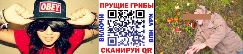 Псилоцибиновые грибы Psilocybe  Симферополь 