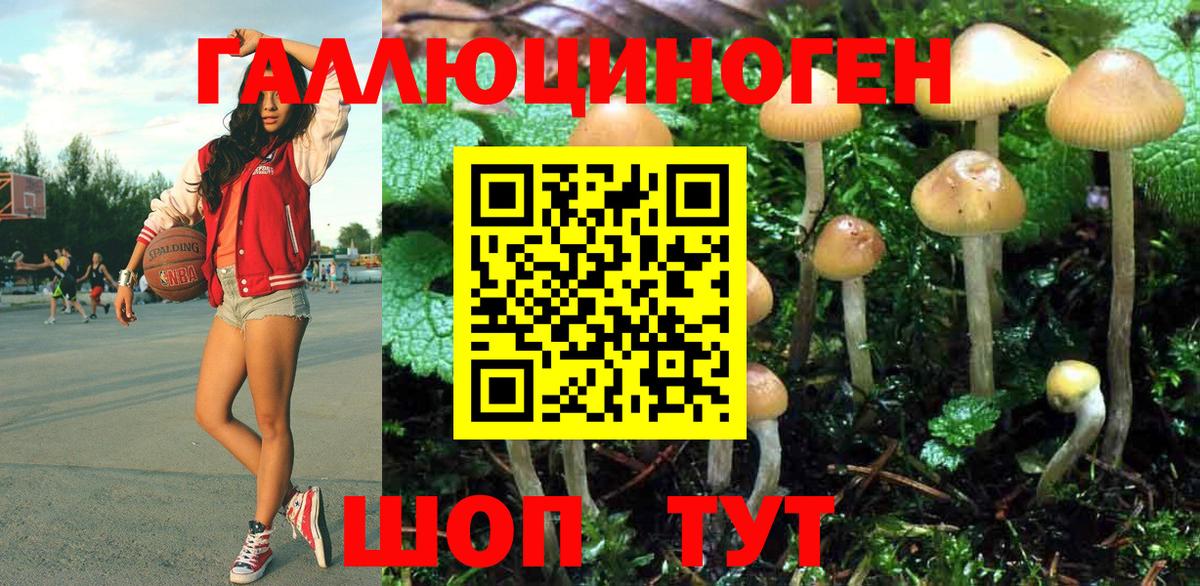 Галлюциногенные грибы мицелий Симферополь