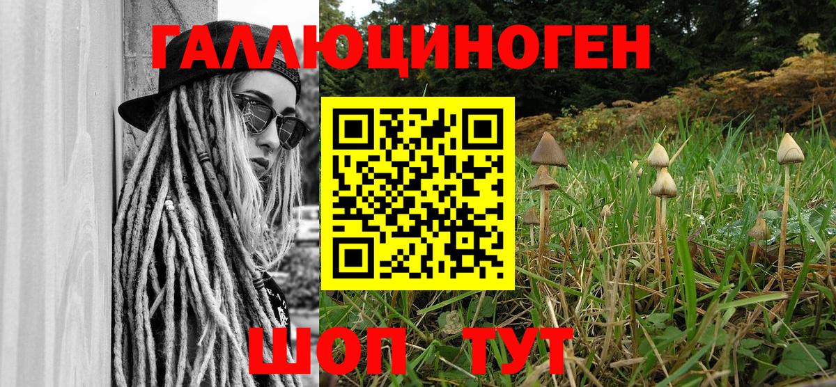 Галлюциногенные грибы Magic Shrooms  Вход с VPN  Симферополь 